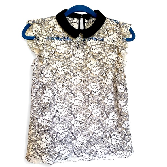 Zara See Through Floral Lace Scallop Cap Sleeve Blouse Peter Pan Collar Blouse - Picture 1 of 9